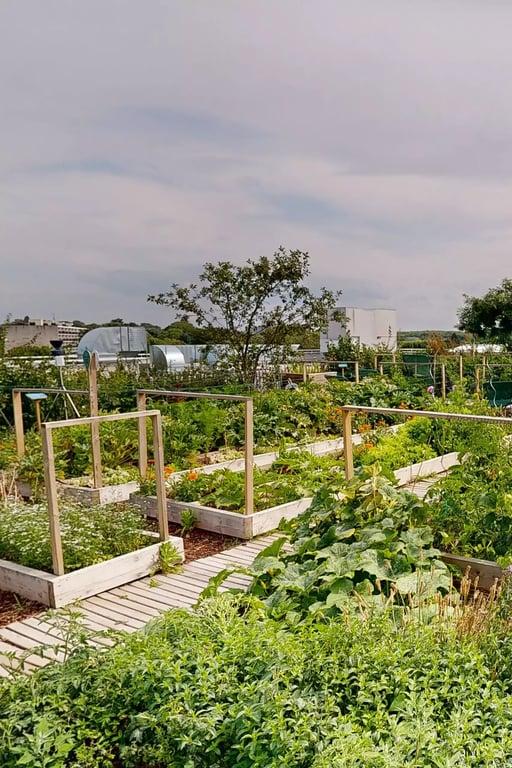 Découvrez Growsters à La Maillerie